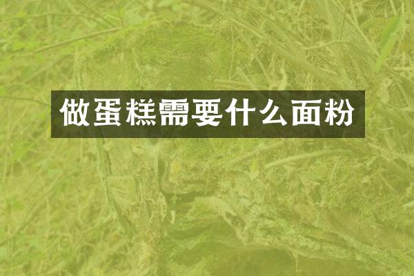 做蛋糕需要什么面粉