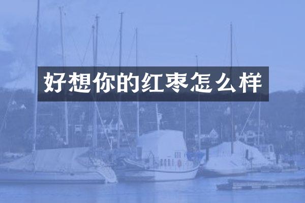 好想你的红枣怎么样