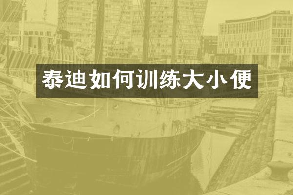 泰迪如何训练大小便