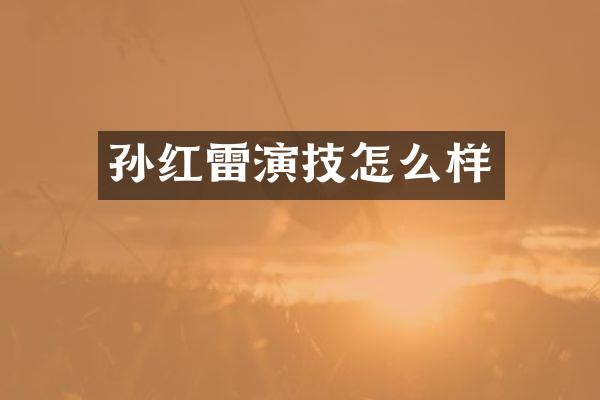 孙红雷演技怎么样