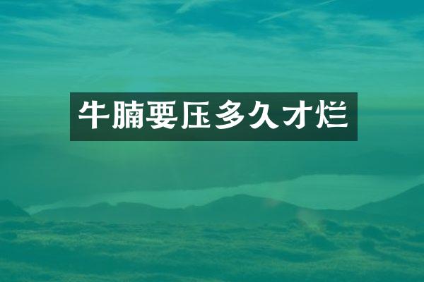 牛腩要压多久才烂