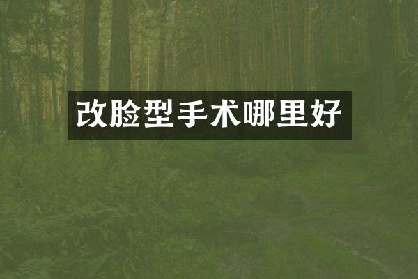 改脸型手术哪里好