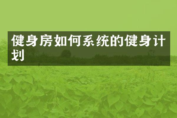 健身房如何系统的健身计划