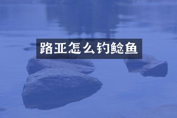 路亚怎么钓鲶鱼