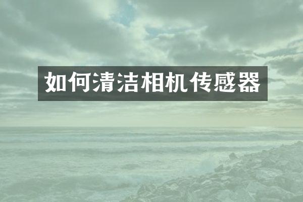 如何清洁相机传感器