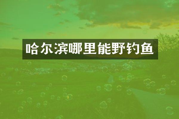 哈尔滨哪里能野钓鱼