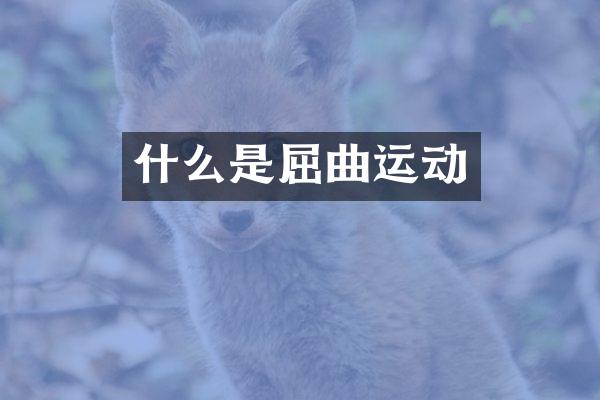 什么是屈曲运动