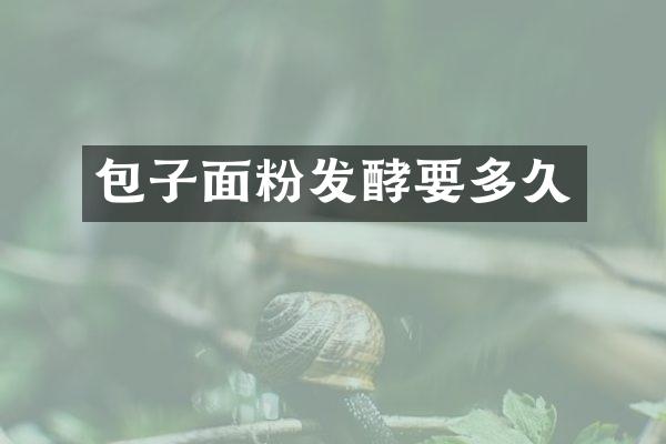 包子面粉发酵要多久
