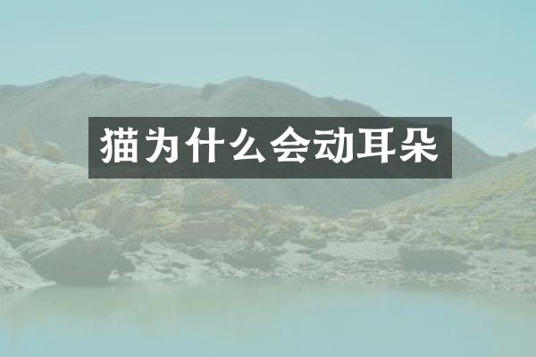 猫为什么会动耳朵