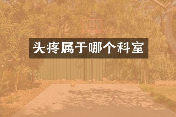 头疼属于哪个科室
