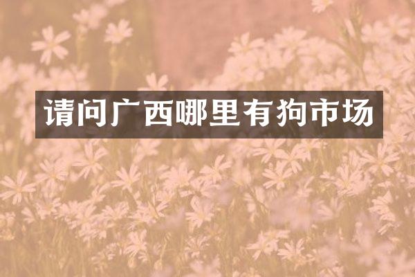 请问广西哪里有狗市场