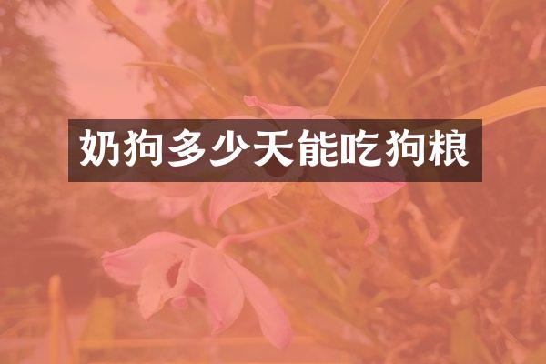 奶狗多少天能吃