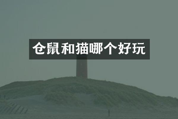 仓鼠和猫哪个好玩
