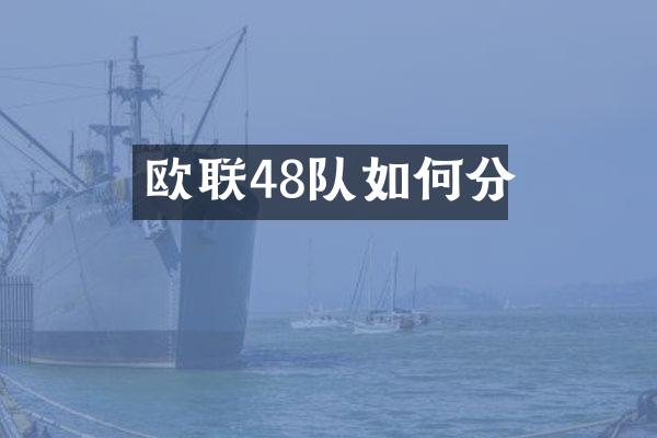欧联48队如何分