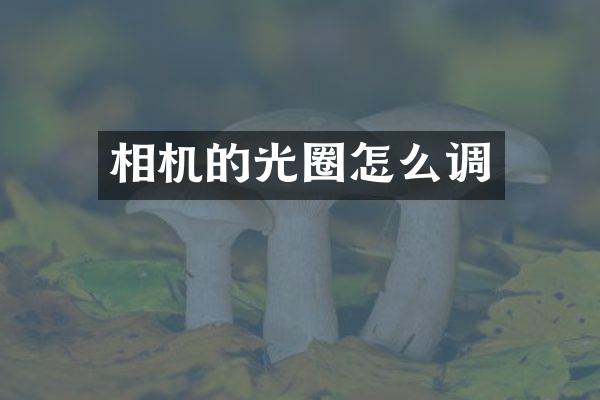 相机的光圈怎么调