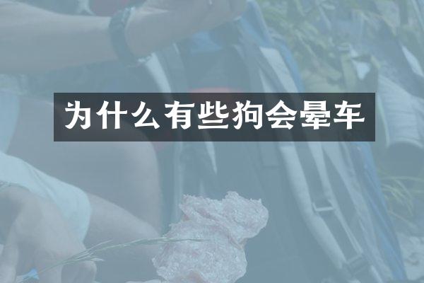 为什么有些狗会晕车