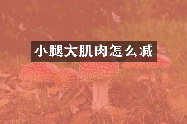 小腿大肌肉怎么减