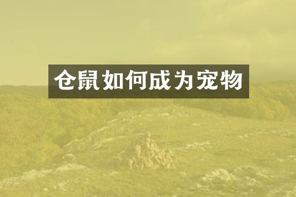 仓鼠如何成为宠物