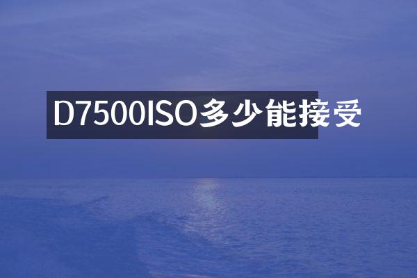 D7500ISO多少能接受