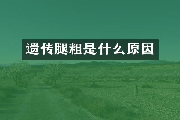 遗传腿粗是什么原因