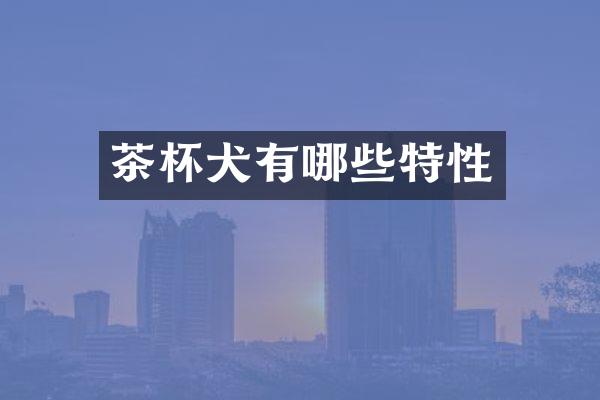 茶杯犬有哪些特性