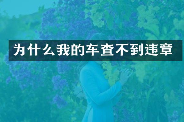 为什么我的车查不到违章