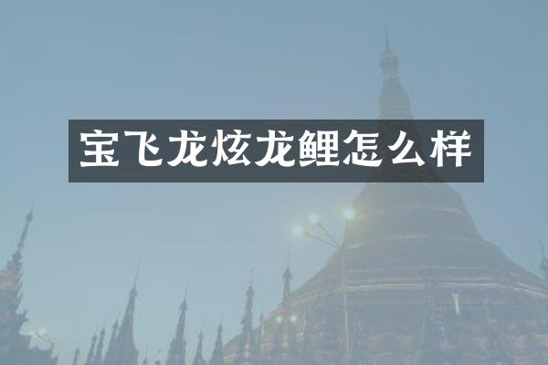 宝飞龙炫龙鲤怎么样