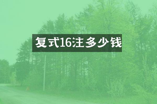 复式16注多少钱