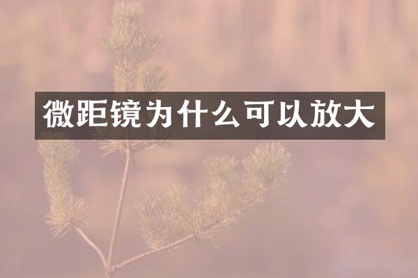 微距镜为什么可以放大