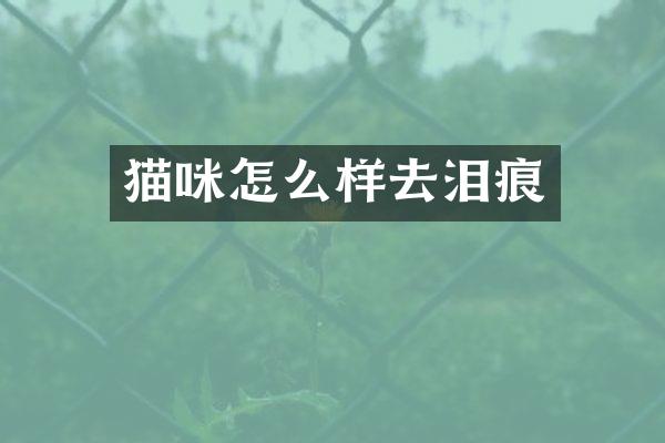 猫咪怎么样去泪痕