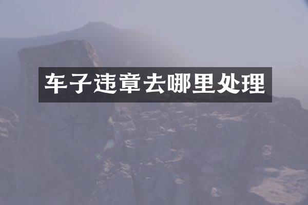 车子违章去哪里处理