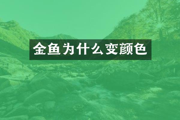 金鱼为什么变颜色
