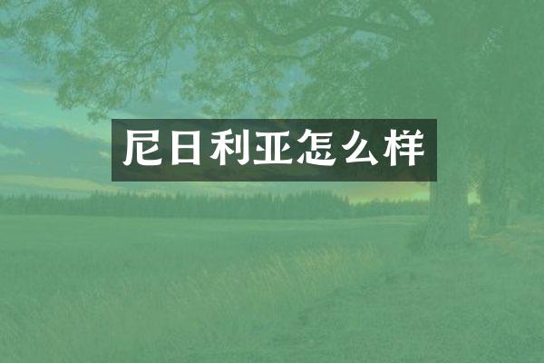 尼日利亚怎么样