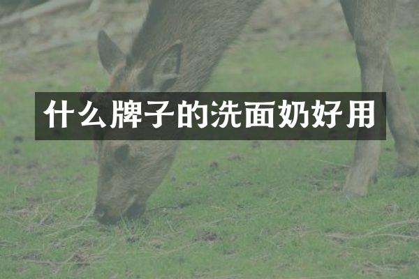 什么牌子的洗面奶好用