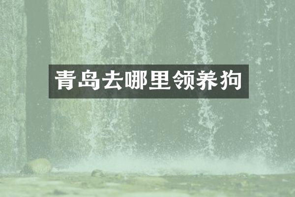 青岛去哪里领