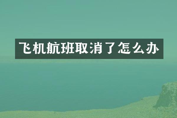 飞机航班取消了怎么办