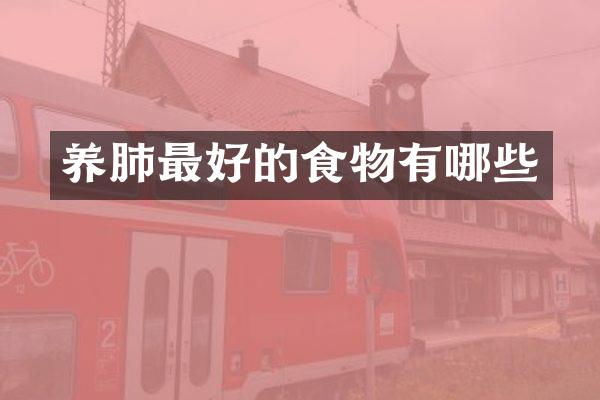 养肺最好的食物有哪些