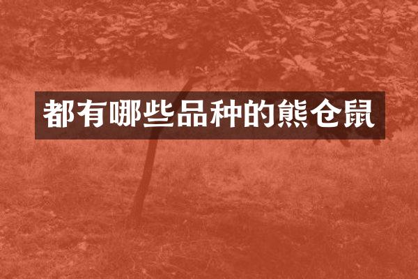 都有哪些品种的熊仓鼠