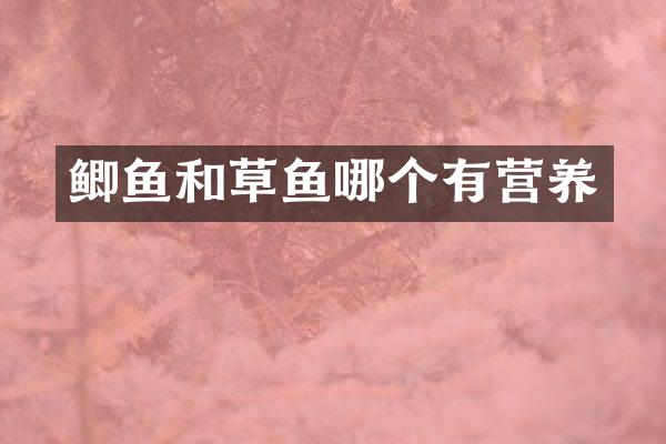 鲫鱼和草鱼哪个有营养