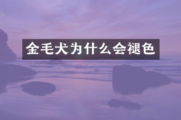 金毛犬为什么会褪色