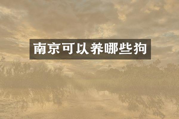 南京可以养哪些狗