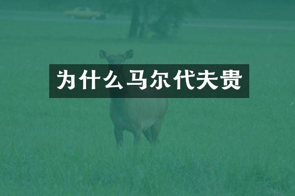 为什么马尔代夫贵