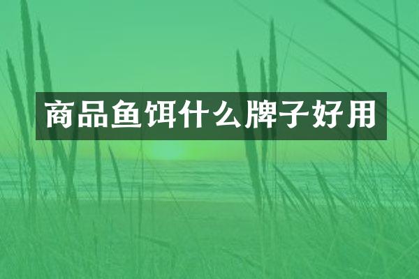 商品鱼饵什么牌子好用