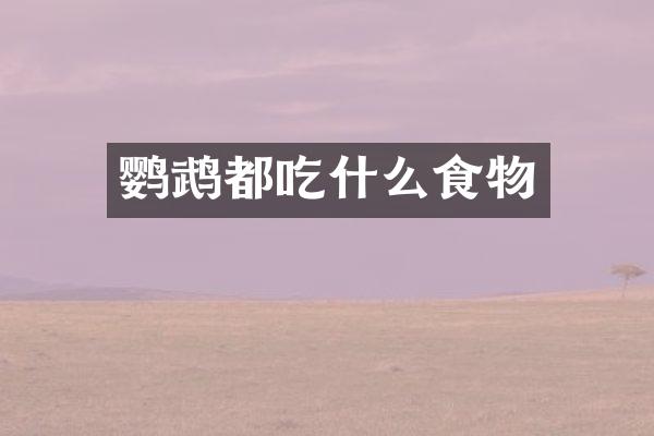 鹦鹉都吃什么食物