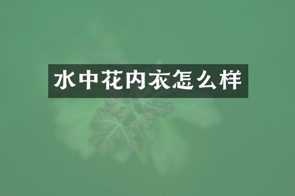 水中花内衣怎么样