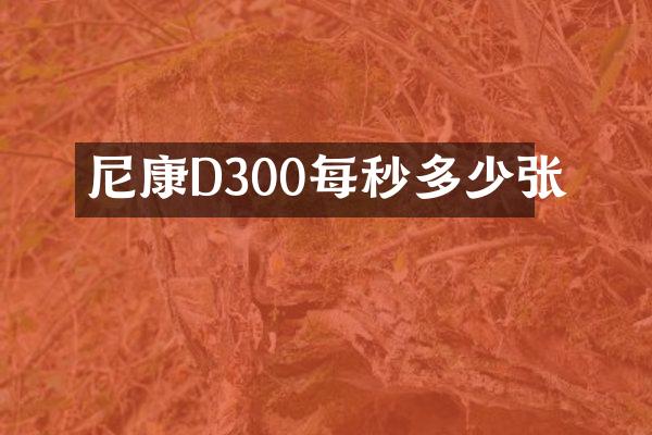 尼康D300每秒多少张