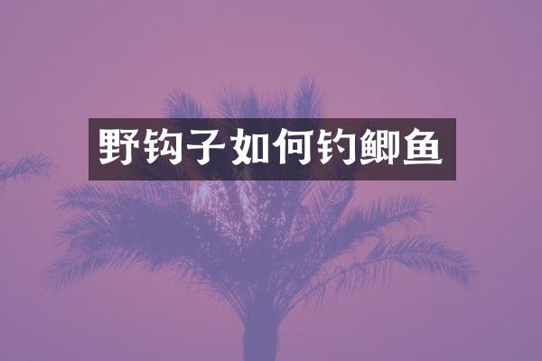 野钩子如何钓鲫鱼