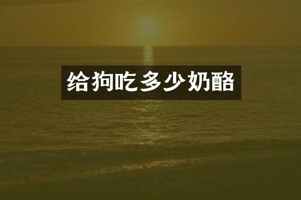 给狗吃多少奶酪