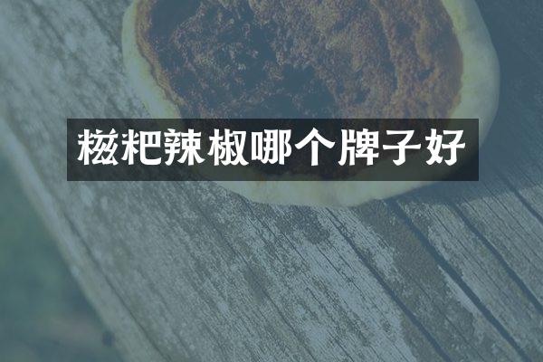 糍粑辣椒哪个牌子好