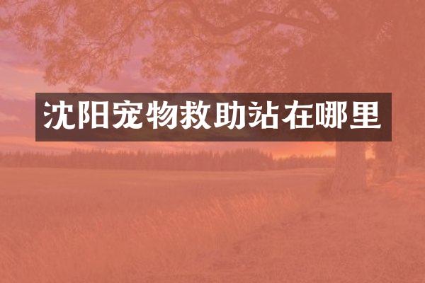 沈阳宠物救助站在哪里